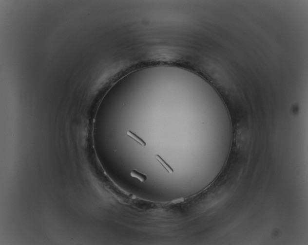 X0000093530544200710191355