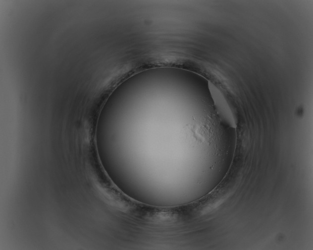 X0000093530546200710191355