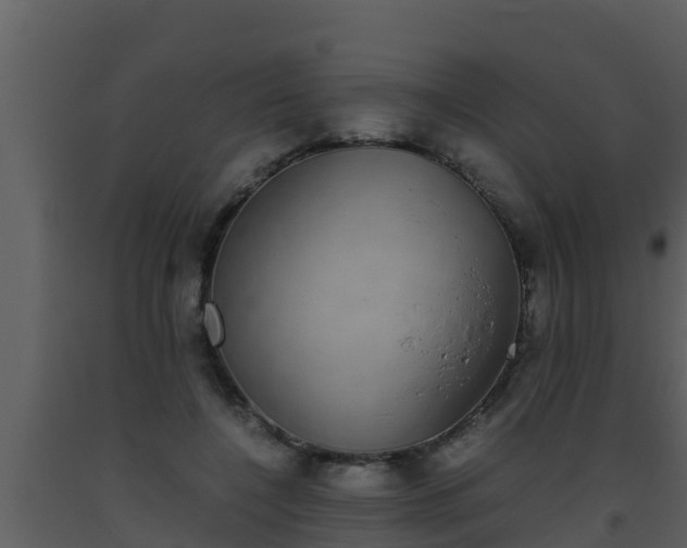 X0000093530548200710191355