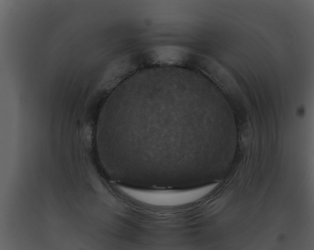 X0000093530551200710191355