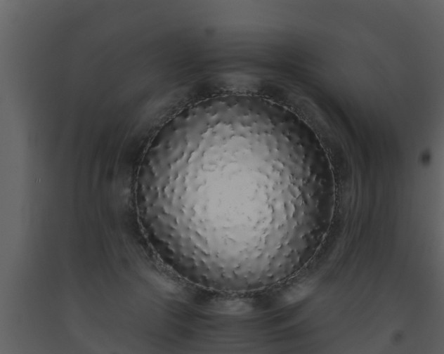 X0000093530553200710191355