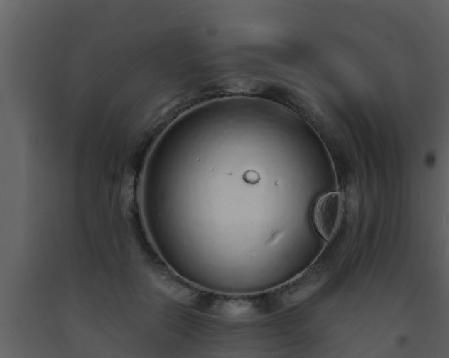 X0000093530554200710191355