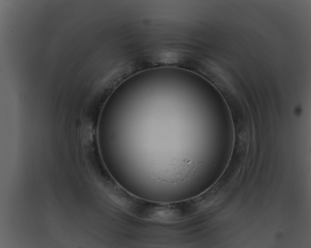 X0000093530555200710191355