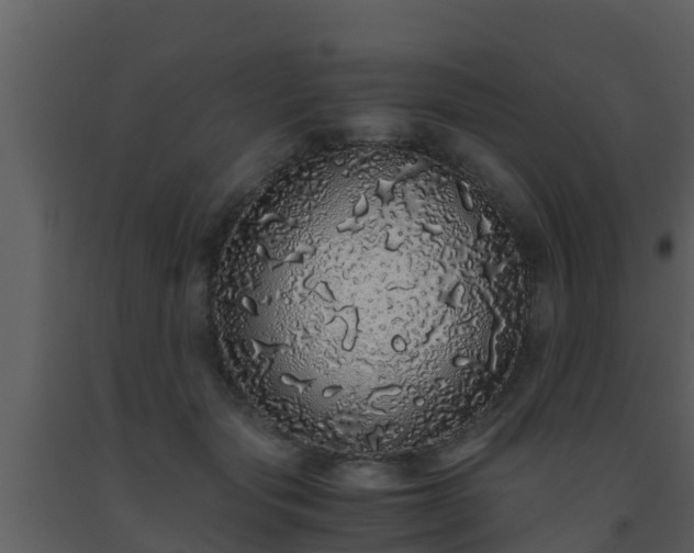 X0000093530557200710191355