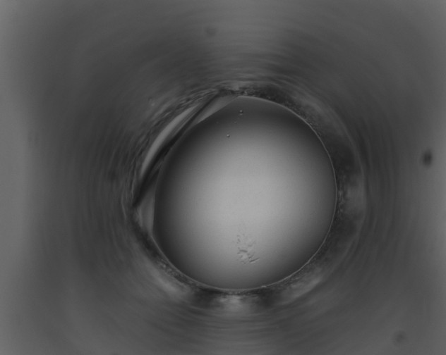 X0000093530558200710191355