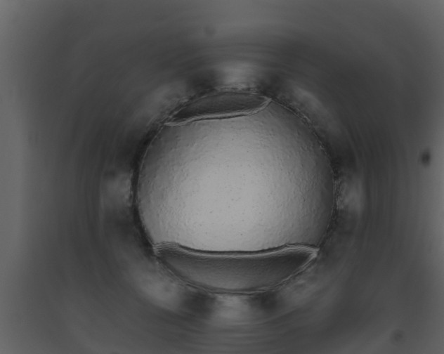 X0000093530560200710191355
