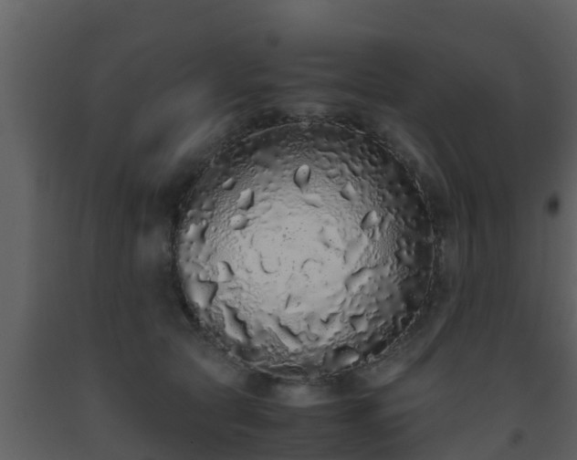 X0000093530561200710191355