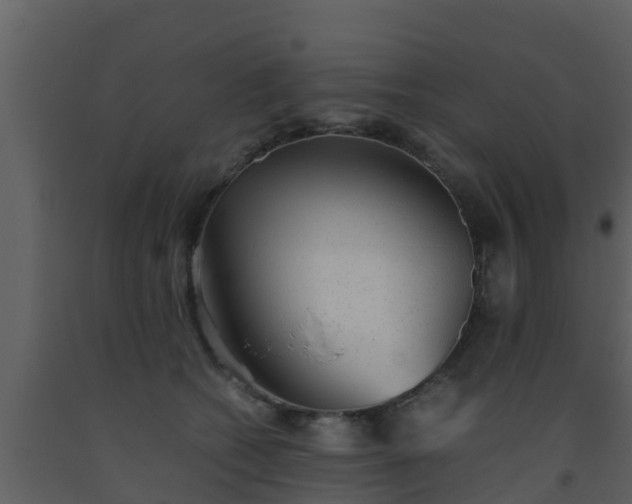 X0000093530562200710191356