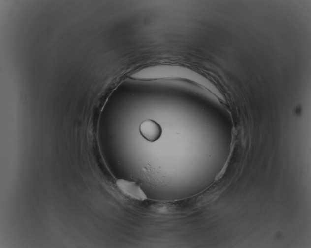 X0000093530564200710191356