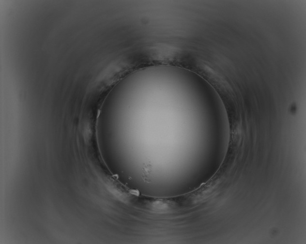 X0000093530566200710191356