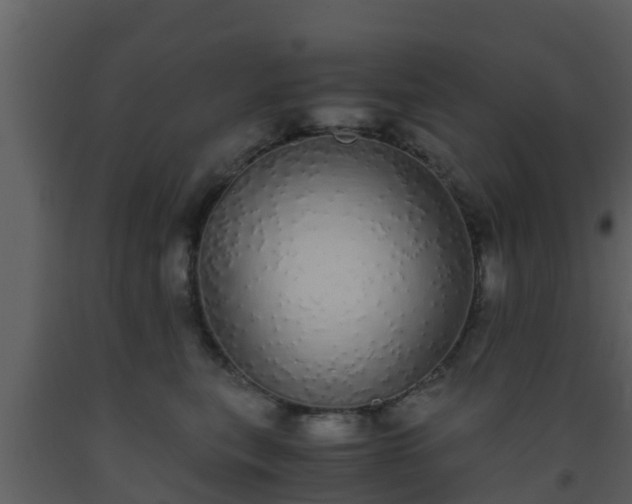X0000093530567200710191356
