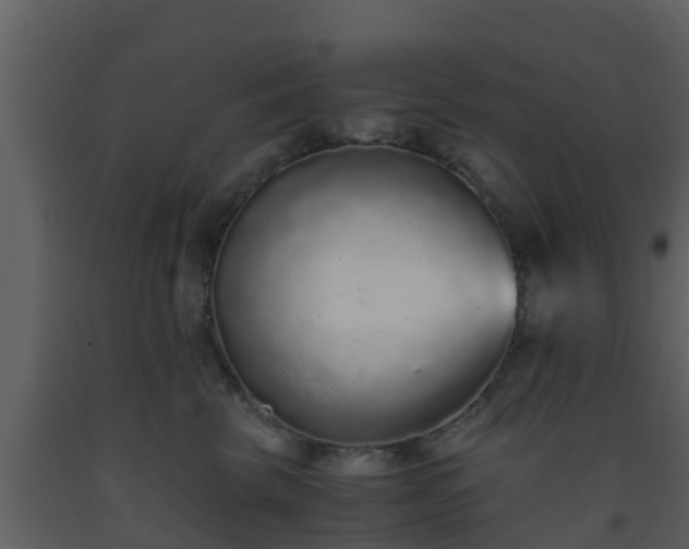 X0000093530569200710191356