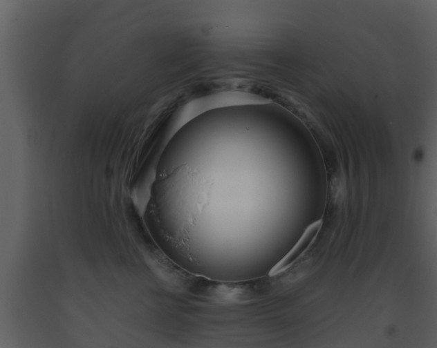 X0000093530570200710191356