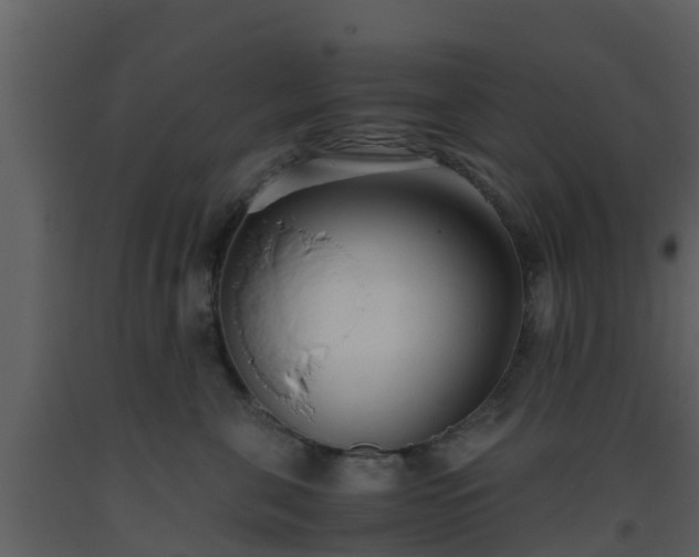 X0000093530571200710191356