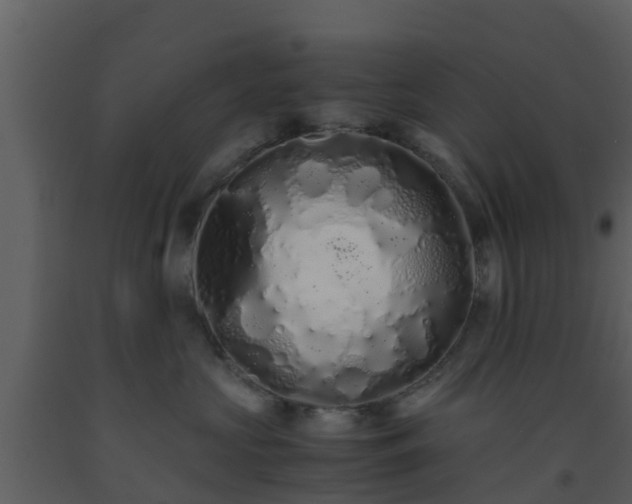 X0000093530573200710191356