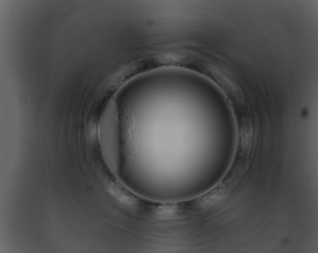 X0000093530574200710191356