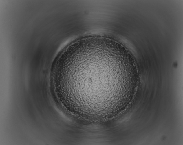 X0000093530578200710191355