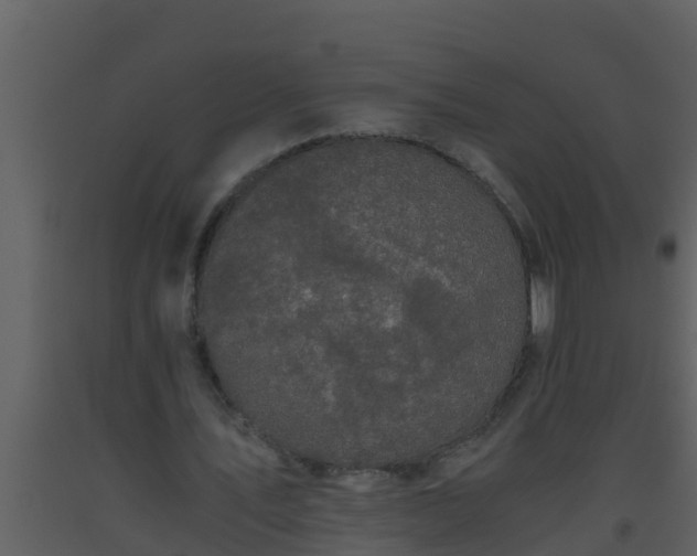 X0000093530579200710191355