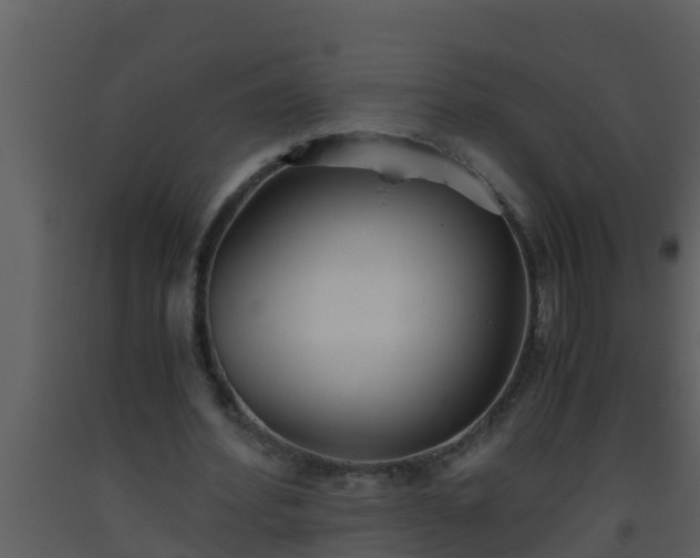 X0000093530580200710191355