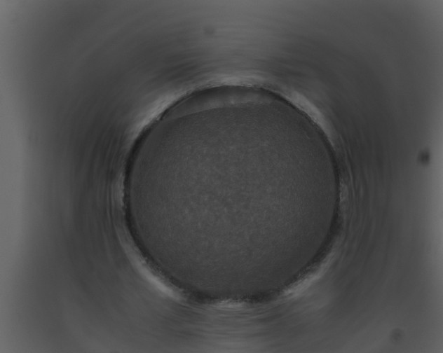 X0000093530581200710191355