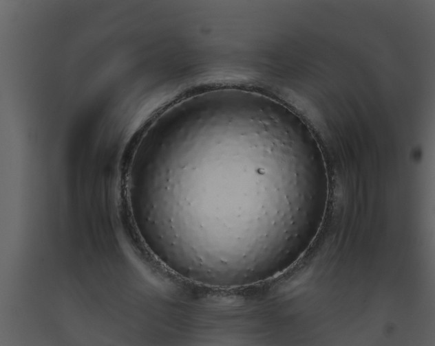 X0000093530582200710191355