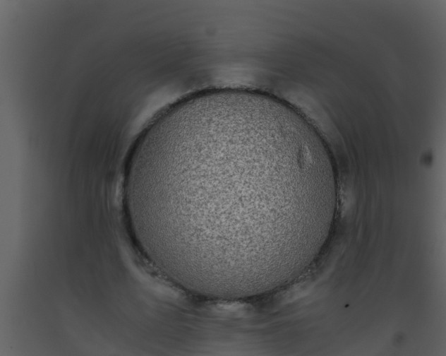 X0000093530583200710191355