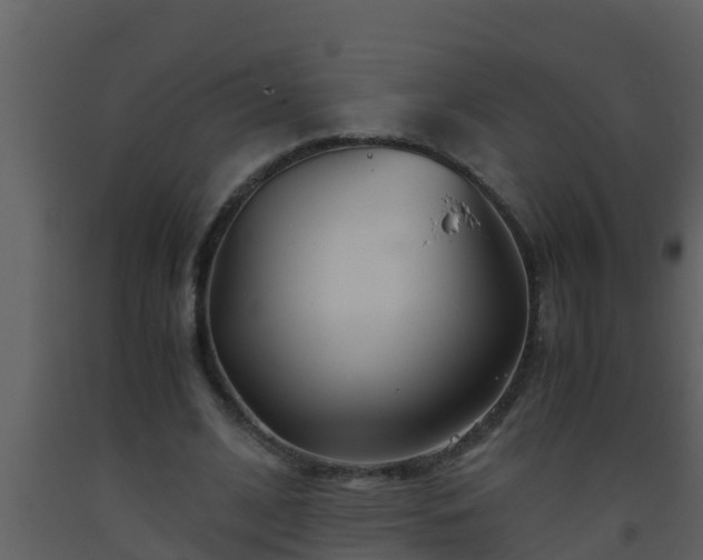 X0000093530584200710191355