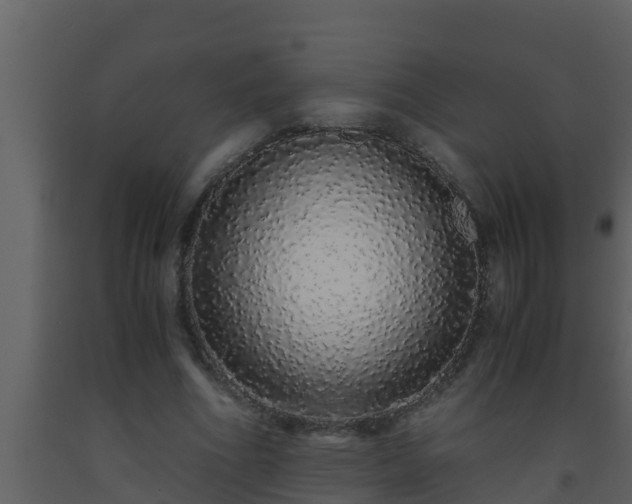 X0000093530586200710191355