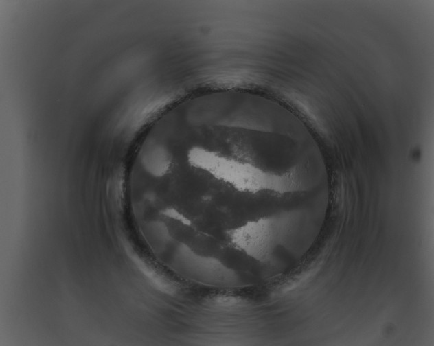 X0000093530590200710191355