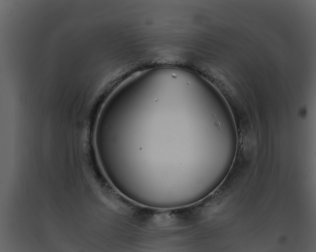 X0000093530591200710191355