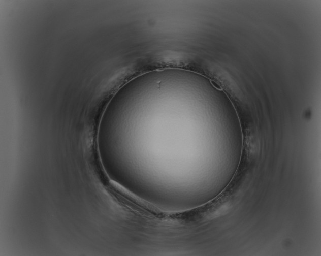 X0000093530593200710191355