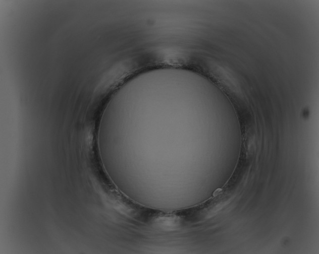 X0000093530595200710191355