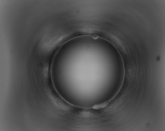 X0000093530596200710191355