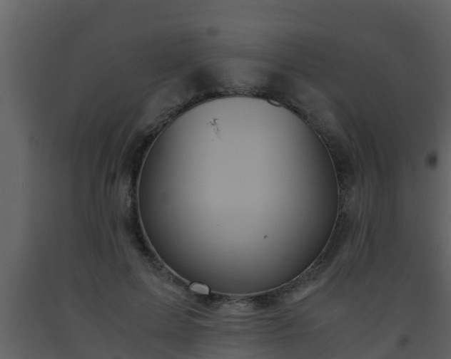 X0000093530599200710191355