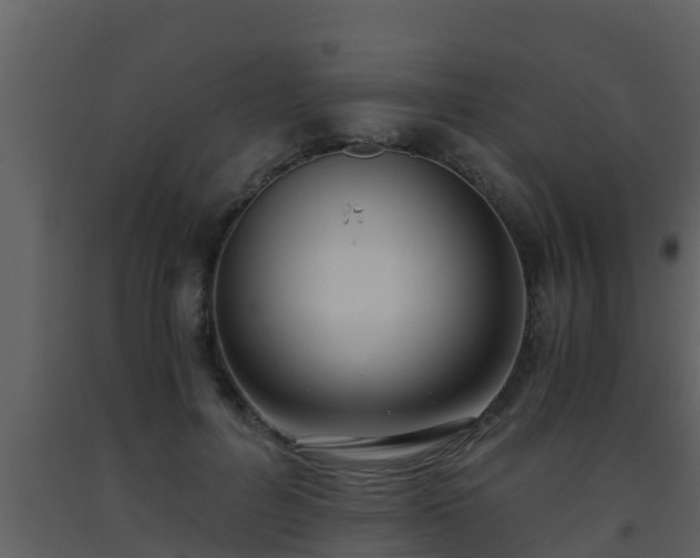 X0000093530600200710191355
