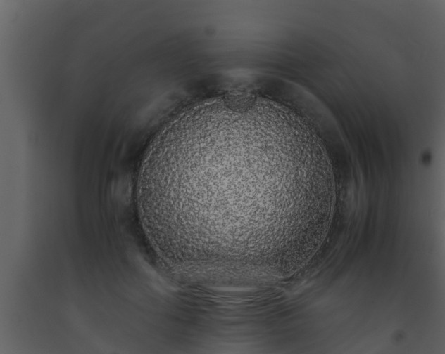 X0000093530602200710191355