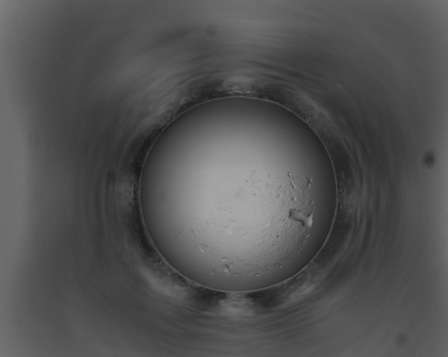 X0000093530603200710191355