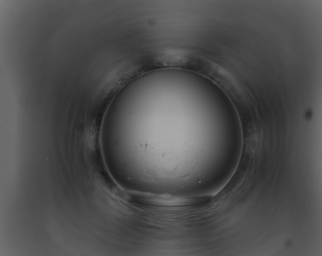 X0000093530604200710191355