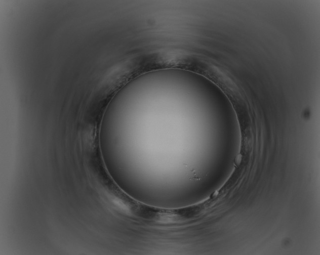 X0000093530605200710191355