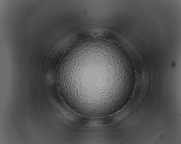 X0000093530606200710191355