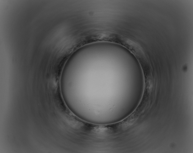 X0000093530607200710191355