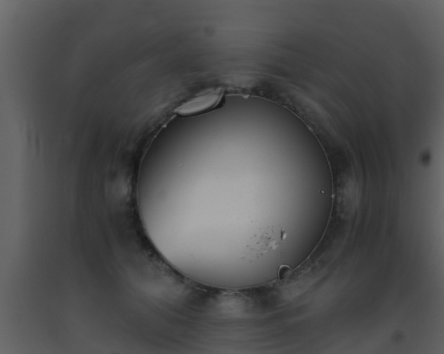 X0000093530608200710191355