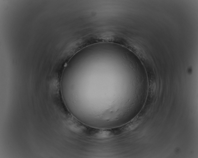 X0000093530609200710191355