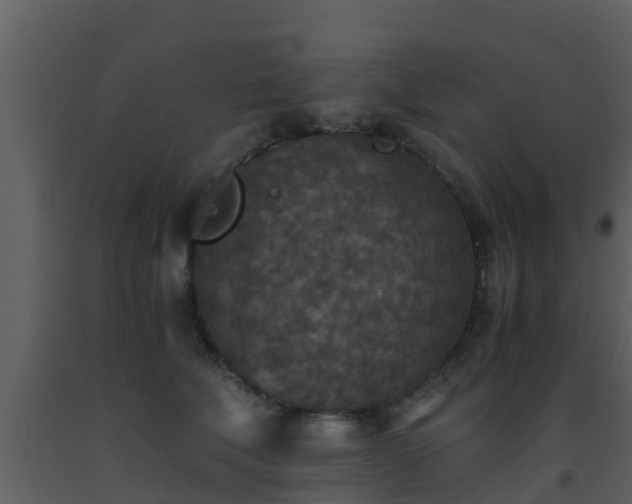 X0000093530610200710191354