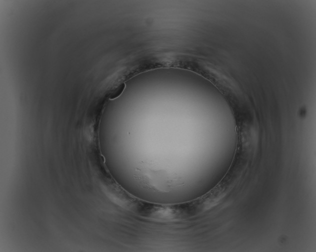 X0000093530611200710191354