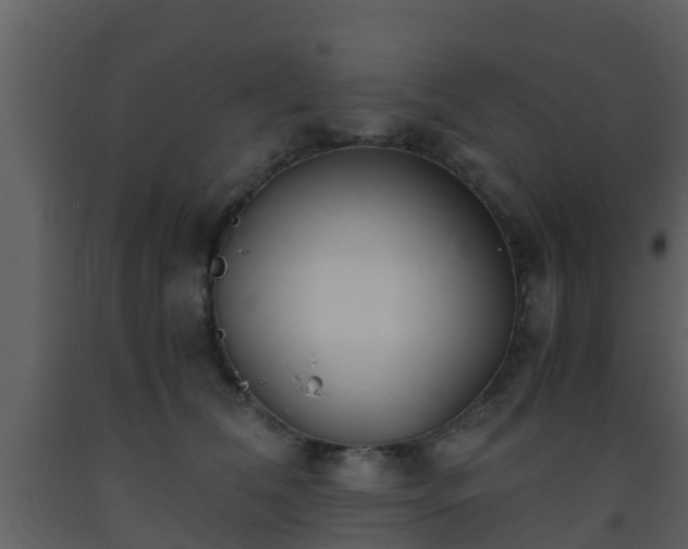 X0000093530612200710191354