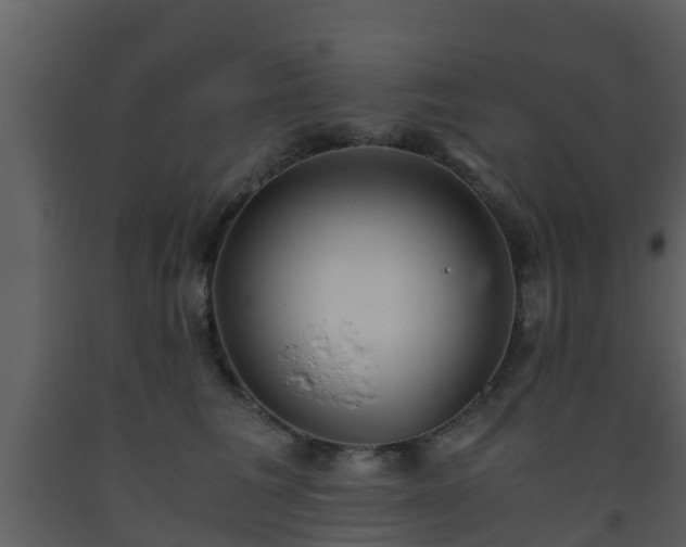 X0000093530613200710191354