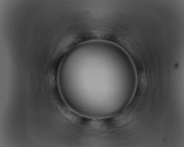 X0000093530615200710191354