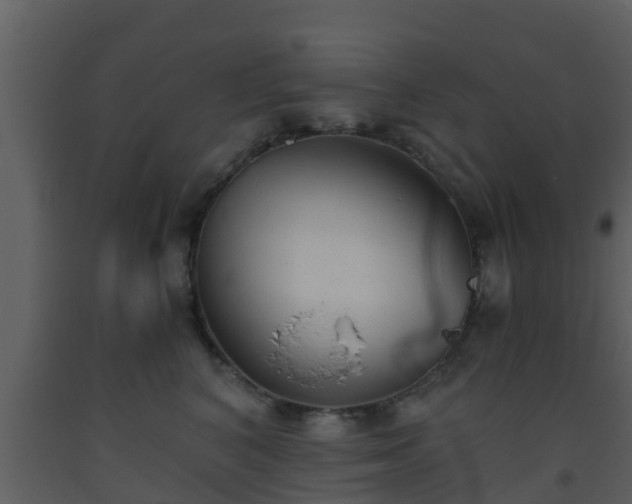X0000093530616200710191354