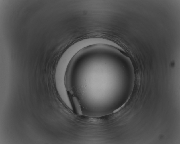 X0000093530617200710191354